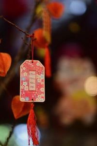  Trạm giải trí trực tuyến 